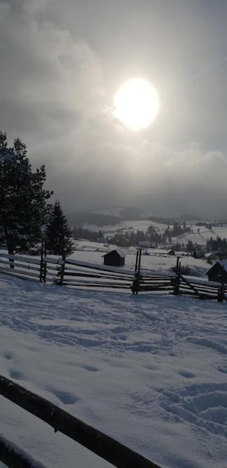 Pensiunea La Bella Vista Пояна Негри Экстерьер фото